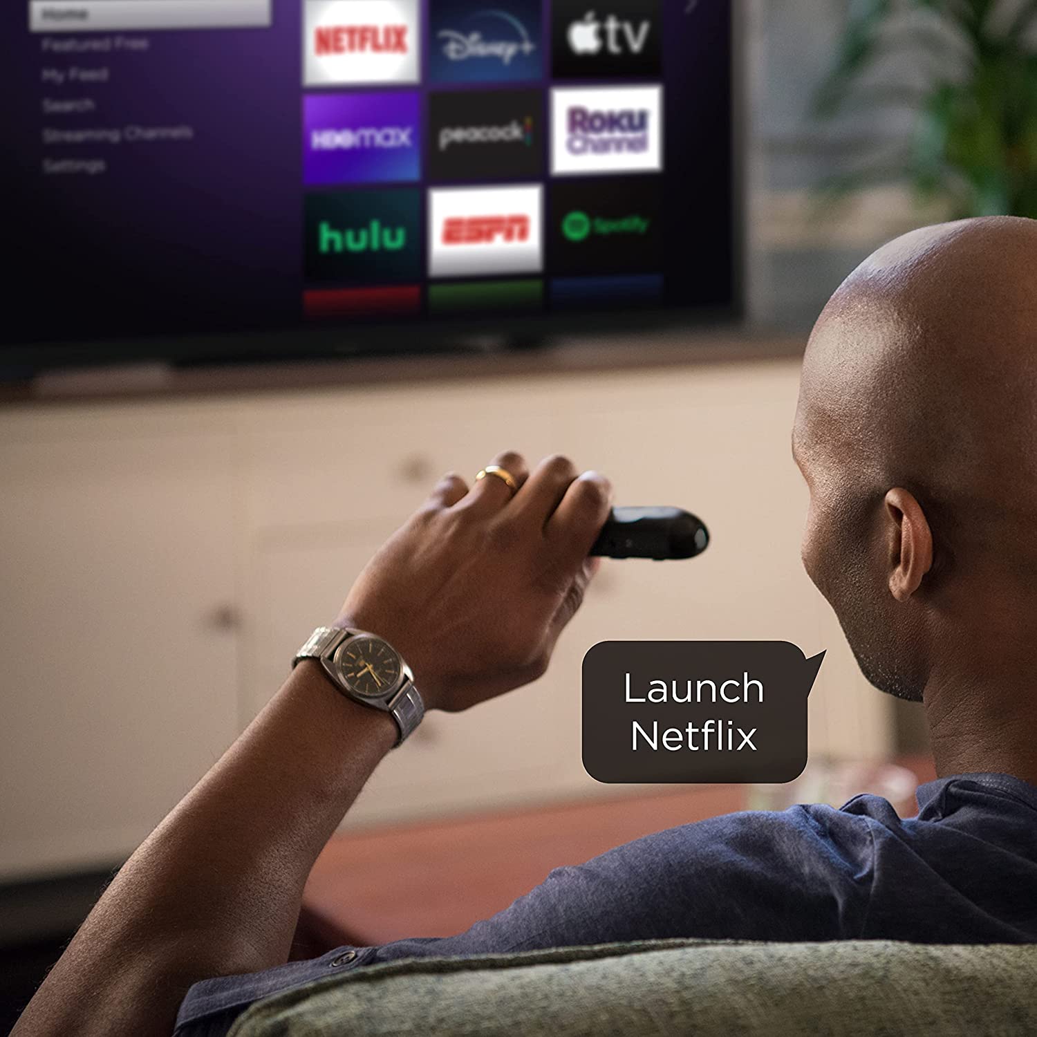 Roku Voice Remote (Official) for Roku Players, Roku TVs and Roku Audio Reasonable Price